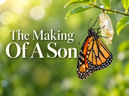 The Making Of A Son